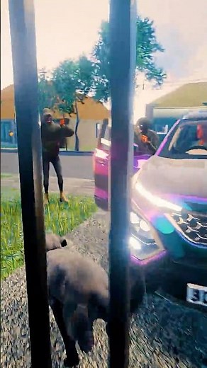 Dogs Save Grandpa from Robbers