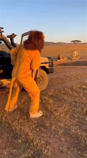 Hilarious Moments with Animals: Stop Brother, I'm Your Friend! 😂