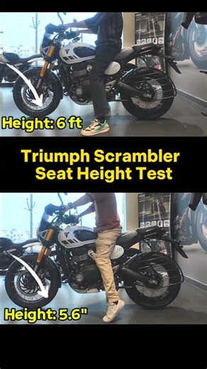 Triumph Scrambler Seat Height Comparison| 5.6" VS 6 ft. Seating Position #triumphscrambler #scram
