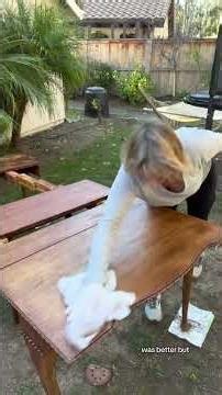 Vintage Mahogany Dining Table Restoration Part 2 | Gel Stain, Color Matching & Final Finish