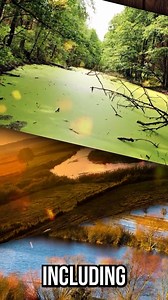 This is Poland 🇵🇱 🎥 Nations Navigators | Visit Poland