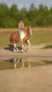 I am who I am because of you Mella 🙏🤎🤍😍 Just a little story of how our journey started 😃 As soon as I left home, I wanted to buy my very first own horse. I didn't have much money to spend, and I ended up watching Mella (Exotic Sugar Hills Cassidy at the time 🙈😁) She was a pushy cheeky 350 euro 2 year old who wanted to knock my teeth out while running up and down the fence. So as you understand, I fell in love right away🤣 I was the happiest girl alive. I would spend as much time with her 