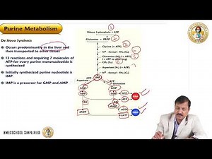 3. Purine Synthesis | Pathway, Regulation & Clinical Aspects | Medical Biochemistry | MBBS | USMLE