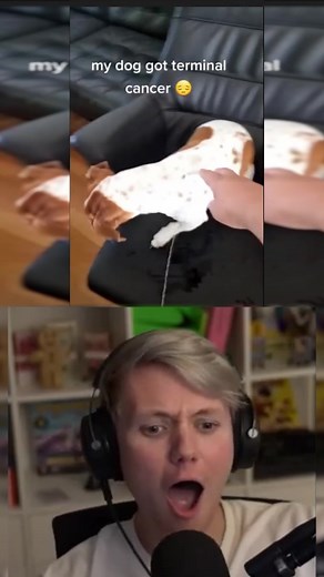 TikTok React: Pyrocynical's Hilarious Rango Reaction