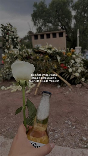 Es broma, nunca te dejaré solo mi niño guapo, QEPD 🕊️🤍 #🕊️🕊️🕊️ #mejoramigo