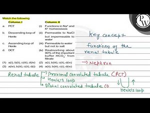 Match the following\nColumn I\nColumn II\nP\na. PCT\n(i) Functions in \\(...