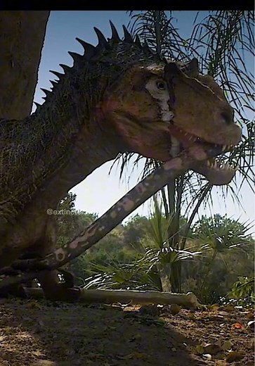 Exploring Allosaurus and Dinheirosaurus Interactions