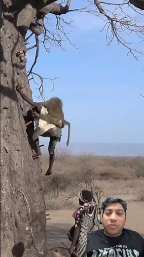 Tribal Man Hunting a Big Baboon From a Tree | Traditional Forest Survival Skills