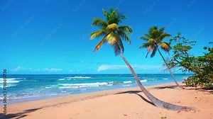 Tropical beach background with colorful palm trees and turquoise ocean. Beach resort on a paradise island. An ideal natural landscape for a summer holiday. Landscape of the Caribbean coast.