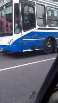 línea 176 interno 3030, línea 169 interno 54, línea 169 interno 62 y línea 161 interno 1290