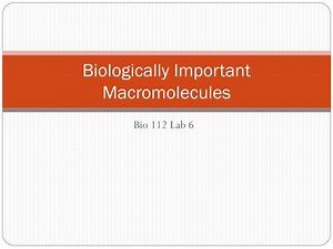 Biologically Important Macromolecules - SlideServe