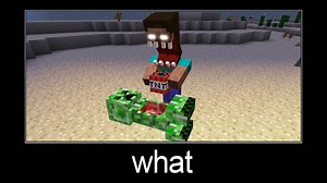Minecraft wait what meme part 197 (scary herobrine and creeper)