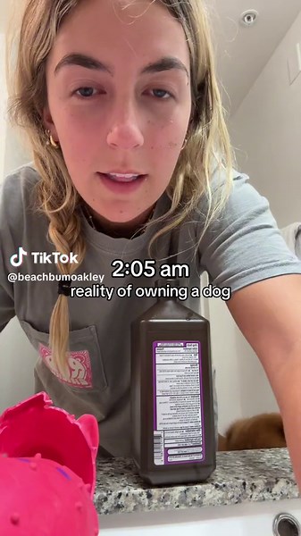 The Reality of Owning a Dog - A Day in the Life of a Golden Retriever Puppy