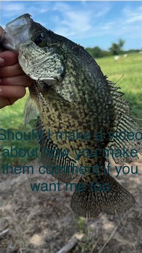 How do you like my minnow traps I made #fishing #fishingtutorial #fishinglife ￼