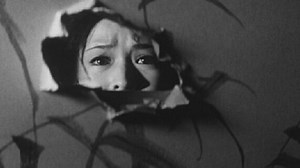 The Temple of the Wild Geese (Gan no tera) 1962 [Yûzô Kawashima]