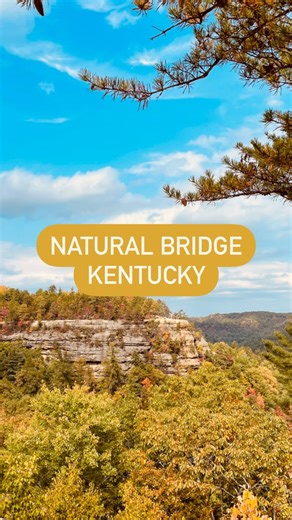 You might think only places like Utah have naturally formed stone arches, but Kentucky has some too! 😀 Natural Bridge State Resort Park is in the Red River Gorge area (near Slade, Kentucky) and is only a few hours away Cincinnati, Louisville, and Lexington. There are over 200 natural arches in this state park, and in a relatively small area! 💛 Beyond the main bridge itself, Red River Gorge is filled with stunning cliffs and viewpoints, caves, and (yep)…gorges! I’ve been coming here my whole li