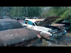 EP042 Old Gold's 1950s, 60s, 70s CADILLACS in Junkyard
