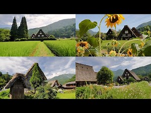 [4K] 世界遺産 白川郷 2020年夏 World Heritage Site Historic Villages of Shirakawa-go in Summer