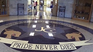 Lindsie Almquist is the proud Principal of Jarrell High School and a #Texas4H Alumni. She participated in livestock projects and various leadership opportunities, including serving on the 2004-2005 State 4-H Council. Lindsie uses the skills learned through her years in 4-H to keep pursuing her dream of becoming a Superintendent. Thank you Lindsie for being such a example and supporter of Texas 4-H. | Texas 4-H Youth Development Program