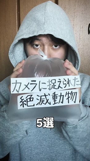 生存が確認された絶滅動物5選