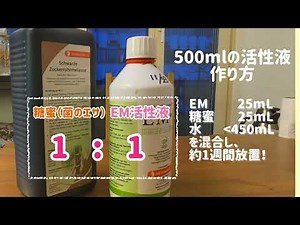 [EMで菌生活] EM菌とは？お家で簡単EM活性液培養法 僕たちの使い方 除菌•殺菌から『加菌』の時代へ #44