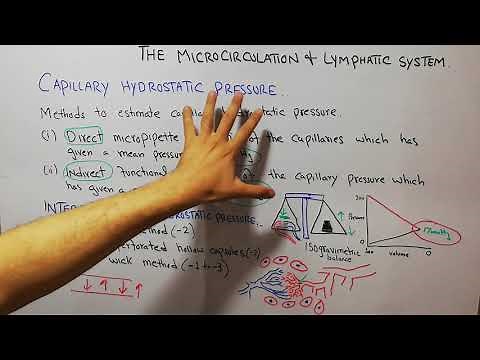 CVS physiology 84. Capillary hydrostatic pressure & interstitial fluid hydrostatic pressure