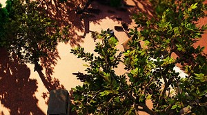 Wa Zala Temperature😂😂 ... check out full episodes on upicTv | Peter Mochine Animation