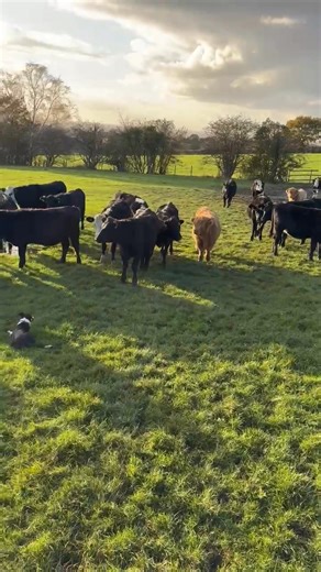 29 reactions · 4 comments | This evening from the office  | Colin Wild | Facebook