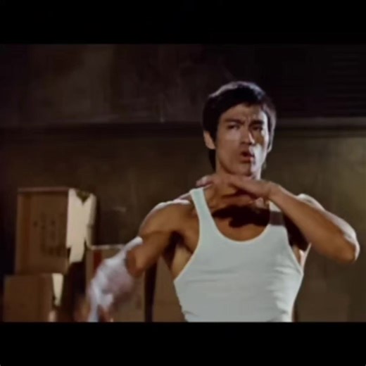 Bruce Lee: The Ultimate Fighter