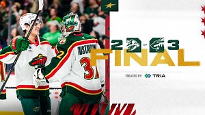 Game Recap: Wild 3, Predators 2 (OT)