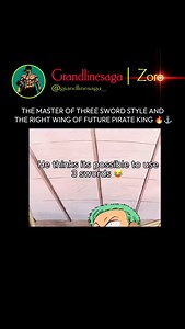 Master of three sword style 🔥 CANAL SYSTEM IN SPONGES The canal system is a network of canals and chambers through which water circulates in the body of sponges. It is the basis of their physiology because water brings food and oxygen, and removes waste. The system is operated by flagellated choanocytes. The basic flow of water is: Ostia → Incurrent canals → Flagellated chambers → Excurrent canals → Spongocoel (in simpler types) → Osculum. #onepiece #luffy #sanji #zoro #shanks | Grandline Saga