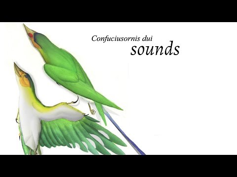 Extinct bird sounds - Confuciusornis dui