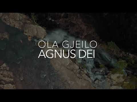 Ola Gjeilo | AGNUS DEI feat. Tallgrass Chamber Choir