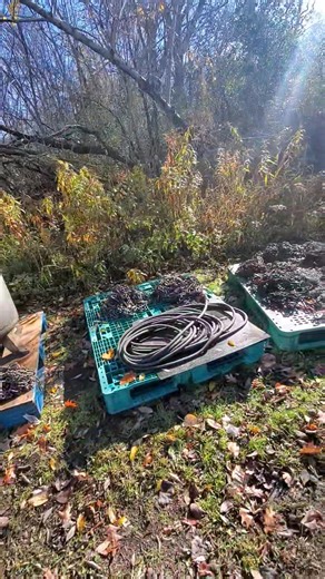 Video 3 of 5 Ken and Lori Hanson Downsizing Auction Saturday November 1st, 2025 Starting at 9:31AM Address: 560 Camelot Road, New York Mills, MN Directions: Approx 1 mile west of Main Street on Centennial 84 Drive New York Mills, MN. Roads Will Be Marked. Live in Person, No Buyers Premium Auction. No Online Bidding! Tractor, Lawn & Garden, Shop Tools & Misc. John Deere Model 1026R, 3 Cyl. Diesel, Shows 326 Hours, Front Wheel Assist, Hydrostatic, W/Hydraulic Loader, Cab Heat. John Deere Mdl 54 Qu