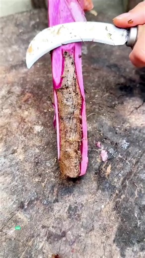 Clean Cuts, Real Sounds | clean cut