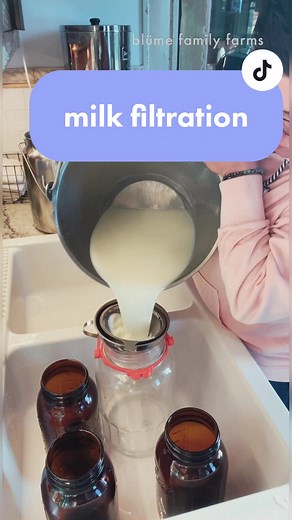 Milk filtration process. #Homestead #FamilyCow #jerseycowboy