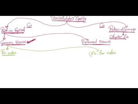 3- Chapter 13: Paid in Capital: Common Stock and Preferred Stock