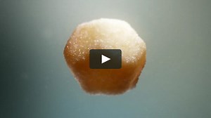 Abstract crisp melt shapeshift