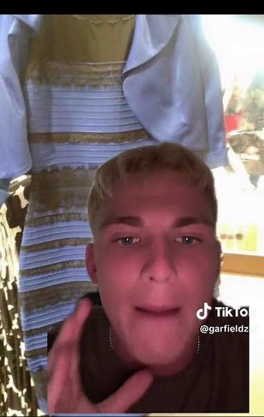 Exploring the Blue and Black Dress Color Illusion