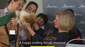 Noted dog lover Rachel Notley had her hands full when she announced $250,000 for additional service dogs Friday. More on the announcement: www.cbc.ca/1.4050075 | CBC Edmonton