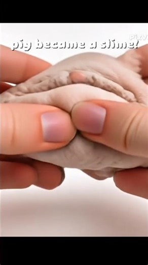 PIG BECAME A SLIME #ai #aianimation #memes #memeshorts #funny #pig #farm #comedy #satisfying #slime