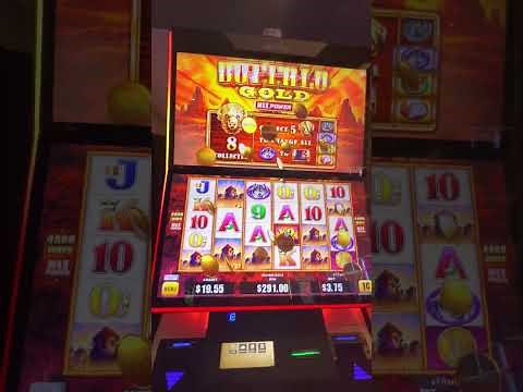 GAMBLE WITH PEACH 🍑 DOWN TO MY LAST $19 ON A PENNY SLOT 🎰 BUFFALO 🦬 GOLD 🥇 & THIS HAPPENED