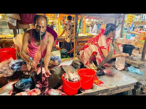 Fish Blogger Nazmul is live