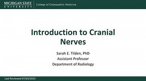 Introduction to Cranial Nerves - Tilden