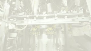 Harvesting MILLIONS Of Cashew Nuts For Processing Mega Food Factory : Free Download, Borrow, and Streaming : Internet Archive