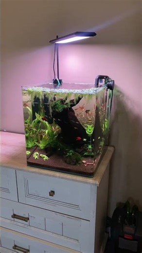 Новая лампа для аквариума