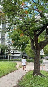 The IT Park vibe is undefeated. ✨ Early runs, open roads, and a city that lets you breathe. Car-Free Sundays at Cebu IT Park just hit different. This is how we move, unwind, and feel right at home. 🎥: @icedcoffee_jam | TikTok #CebuITPark #CITP #AyalaLandEstate | Cebu I.T. Park
