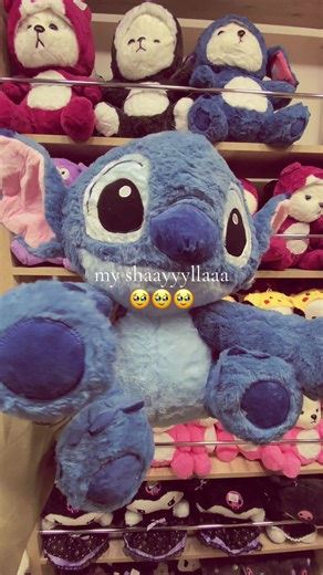 Discover the Beauty of Shayla Accessories