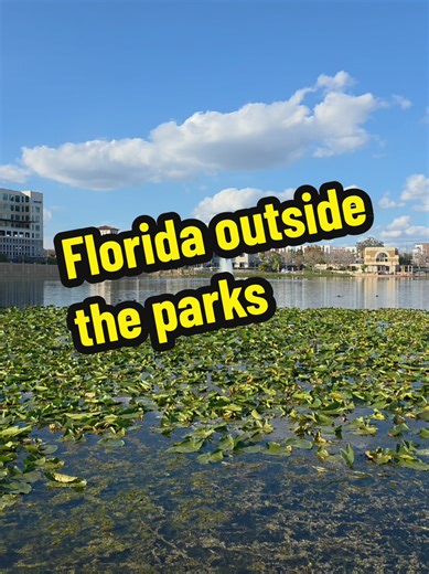 Florida isn't all about theme parks. we love getting outside the bubble and exploring #florida #visitflorida #bartow #travel