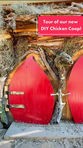 DIY Chicken Coop Tour with Unique Design Features